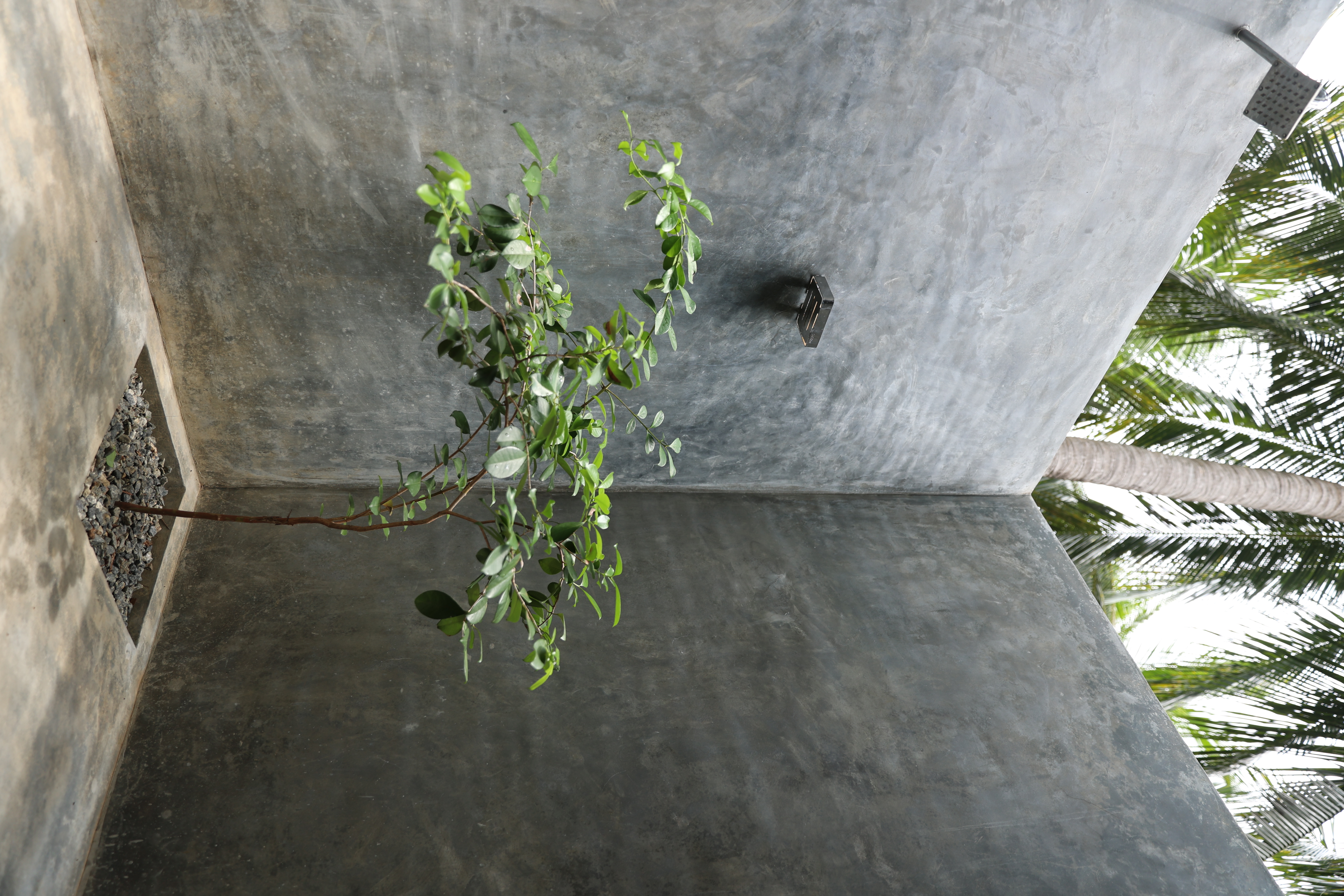 Outdoor shower — concrete walls, palms above