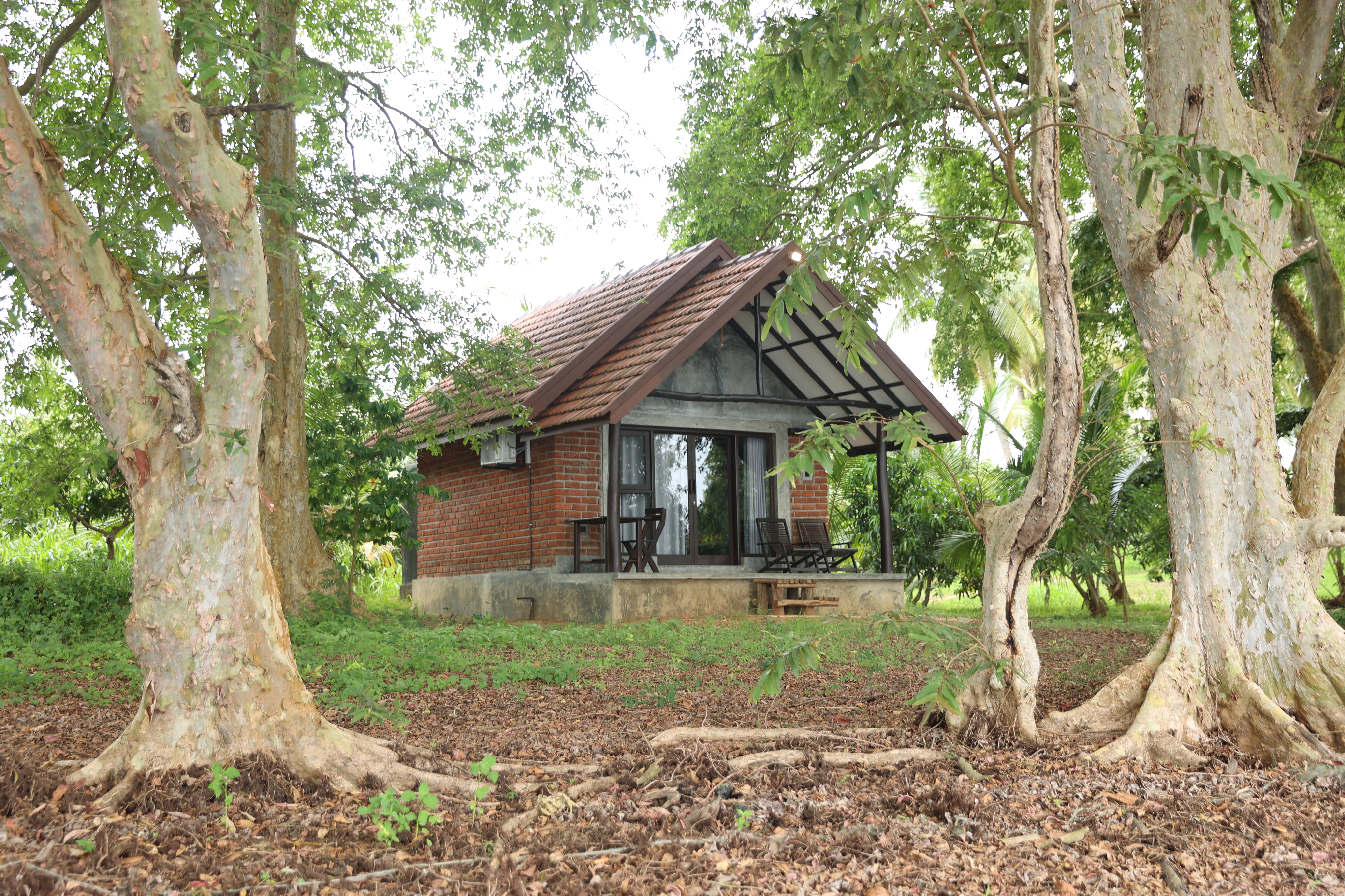 Cottage exterior among the trees