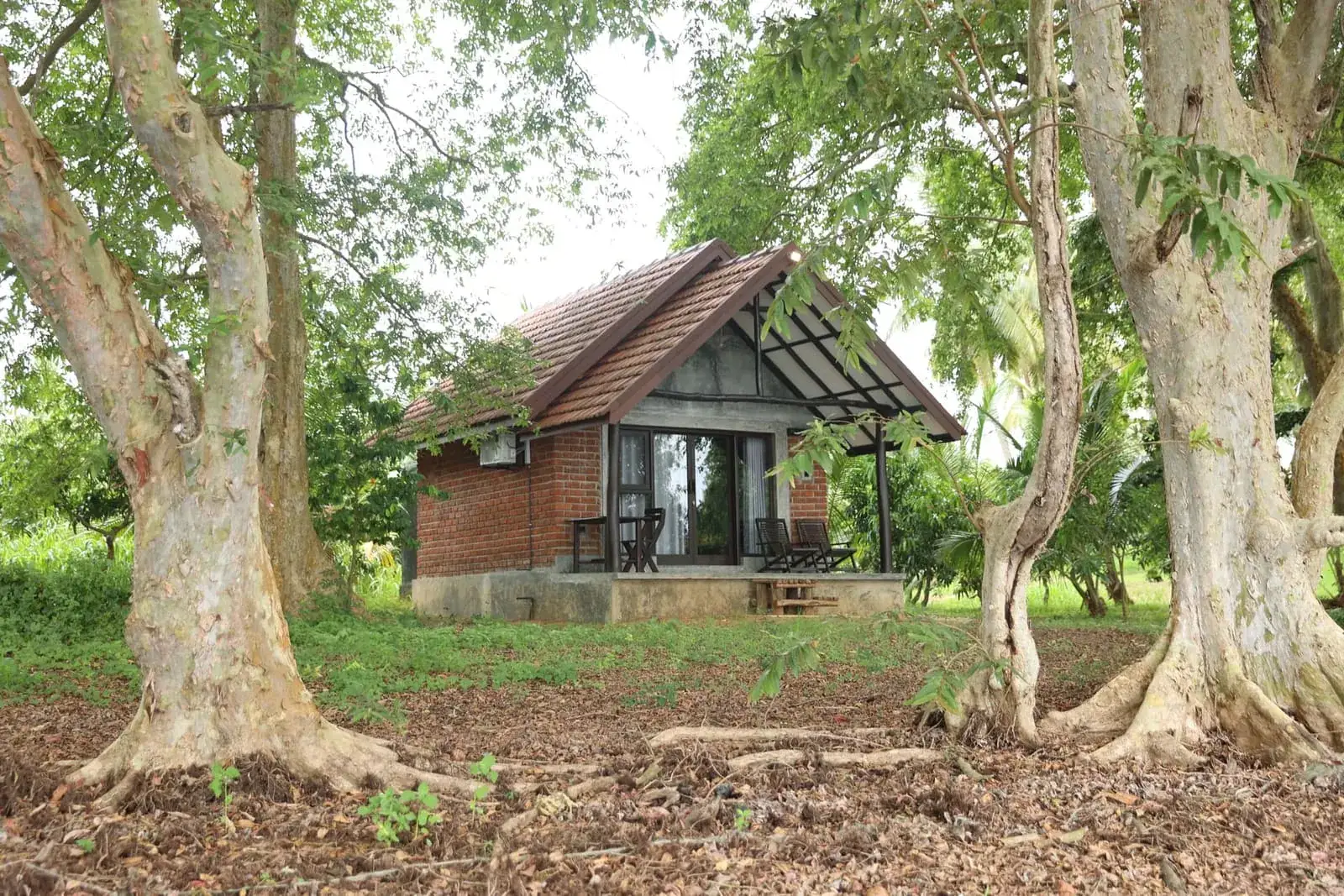 Private cottage surrounded by large trees