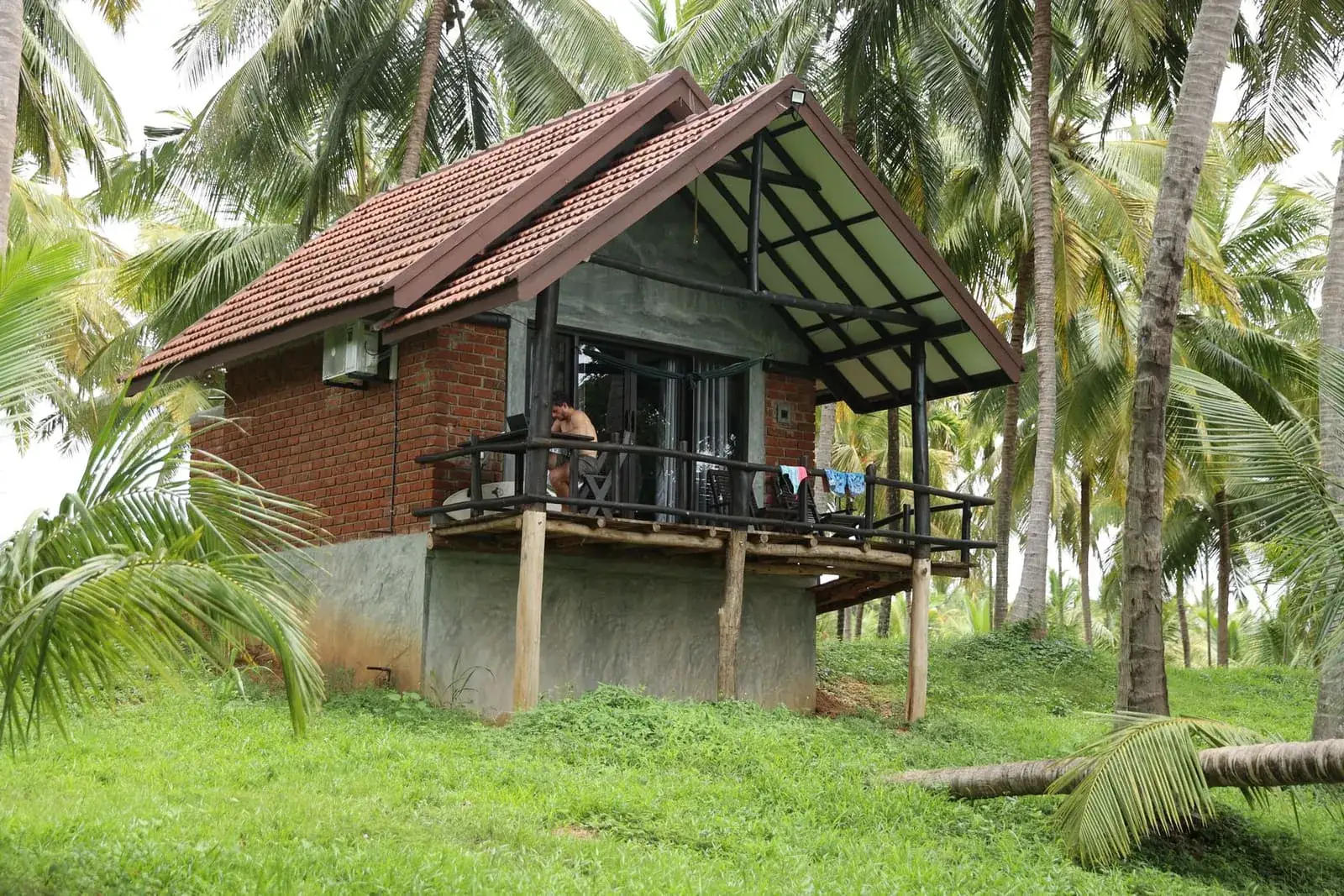 Cottage on stilts among coconut palms