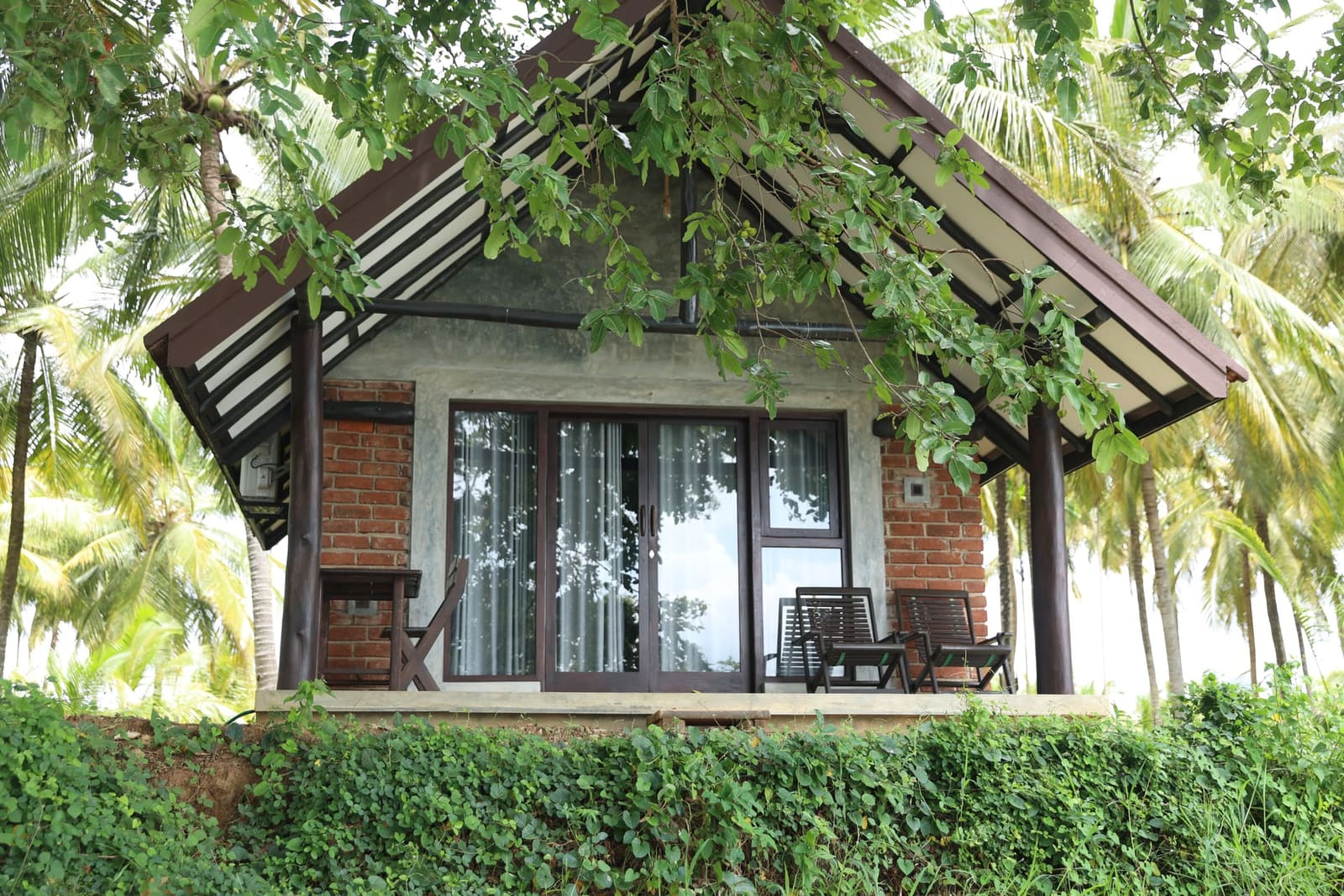 Vines climbing the cottage walls
