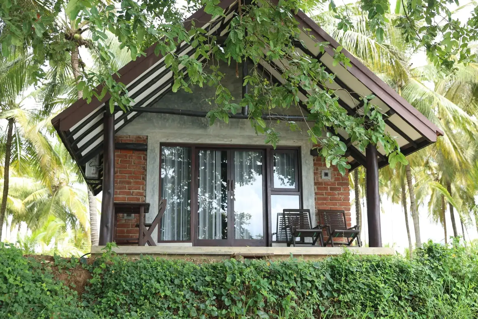 Cottage framed by vines and palm trees
