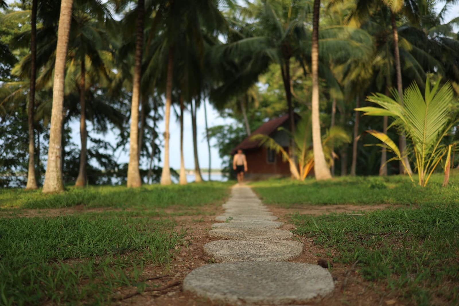 Stone path through the palms leading to your cottage at golden hour
