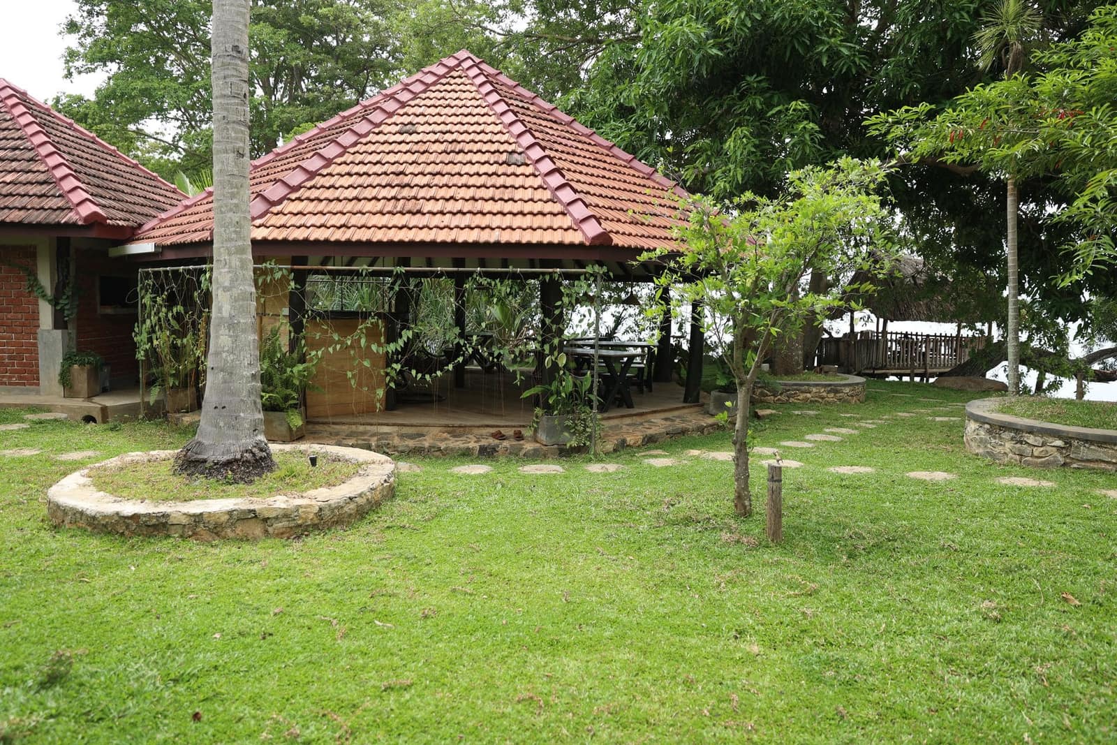 Coconut palms and fruit trees across the orchard
