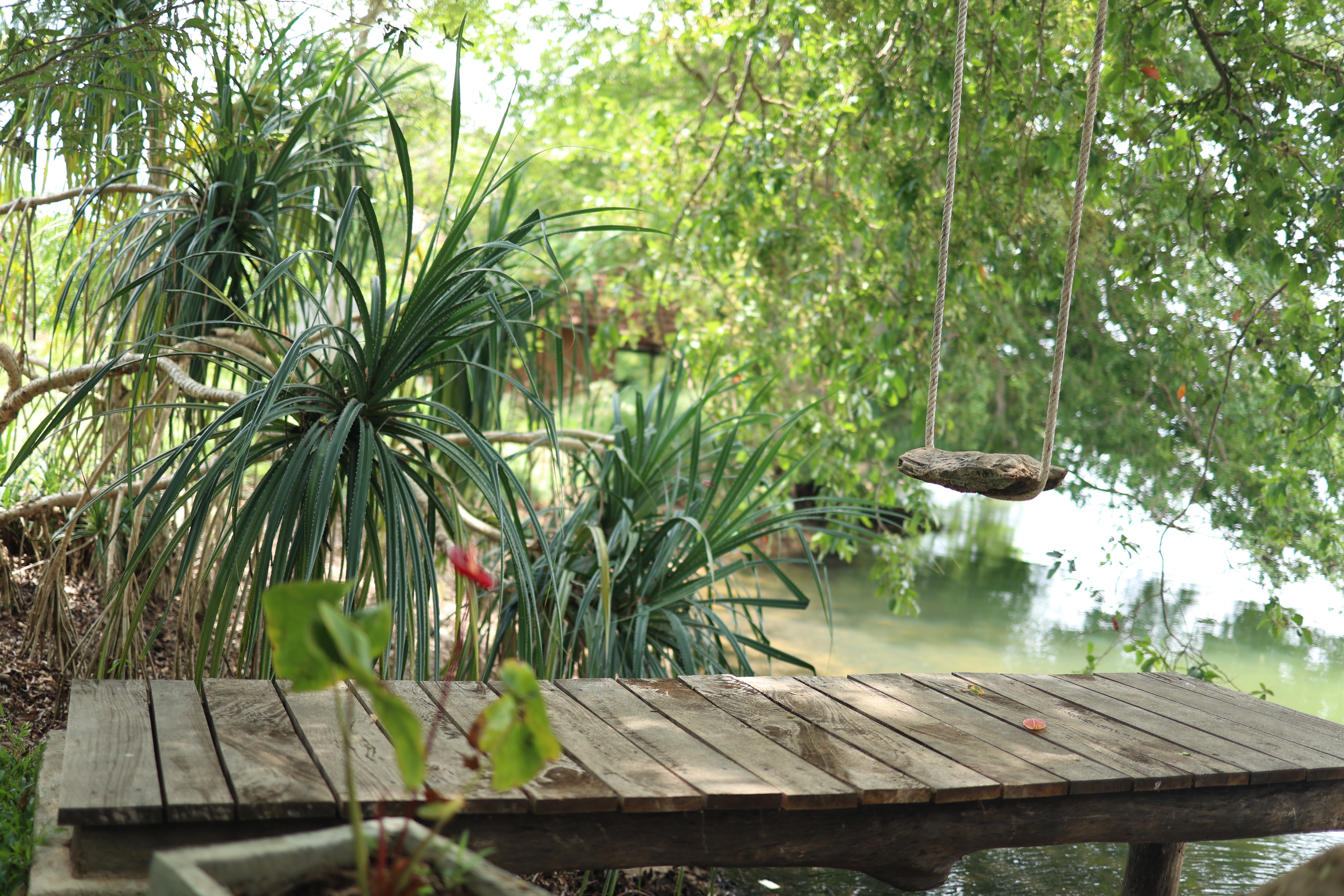 Lakeside table and swing in the orchard