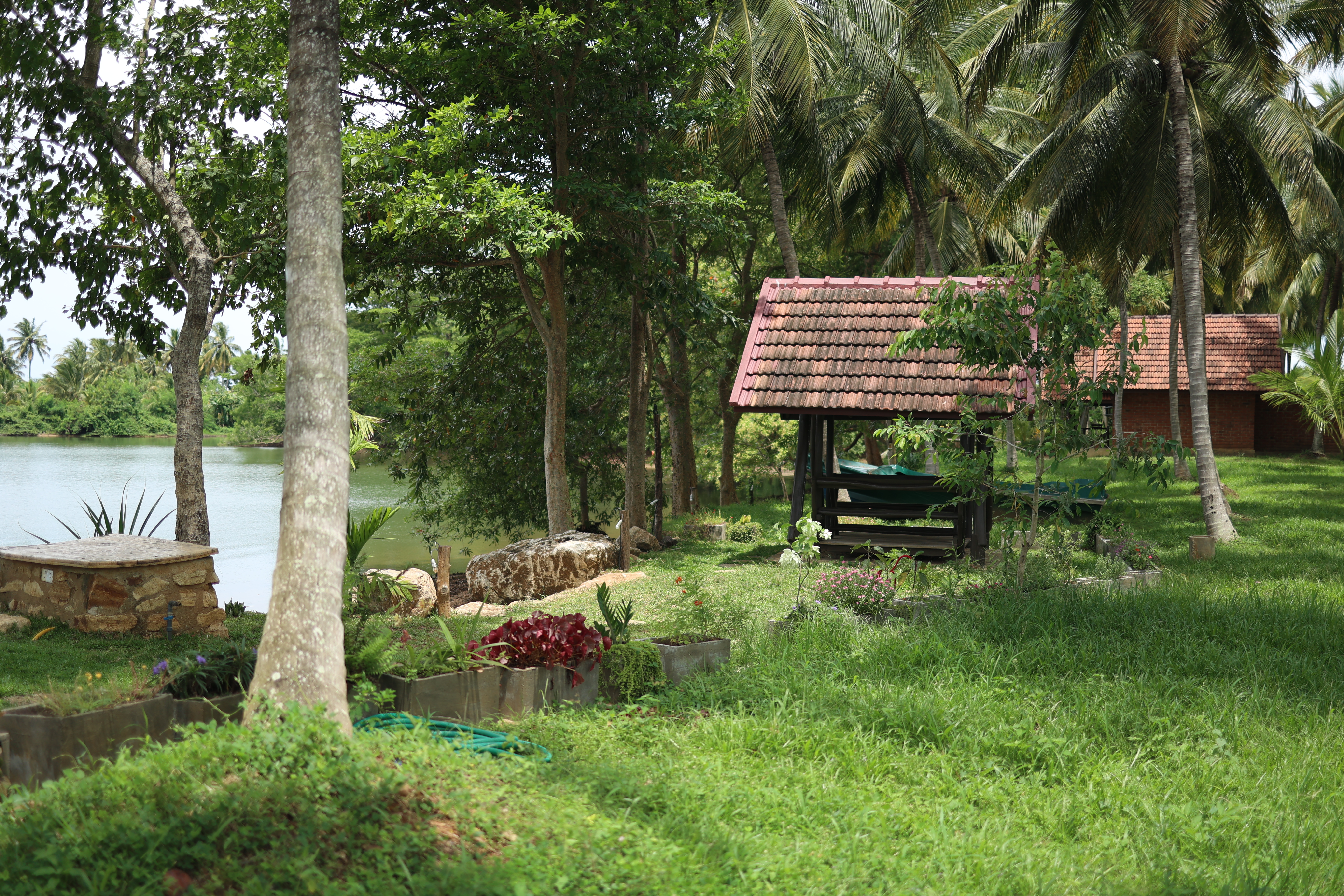 The fruit farm and lake