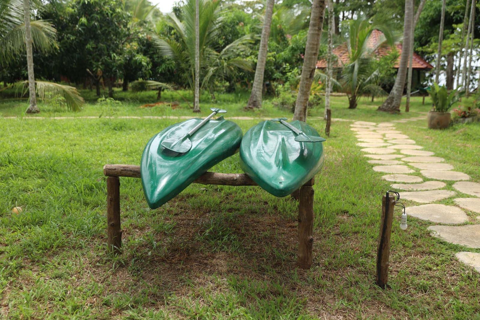Kayaks resting on a wooden rack between the palms