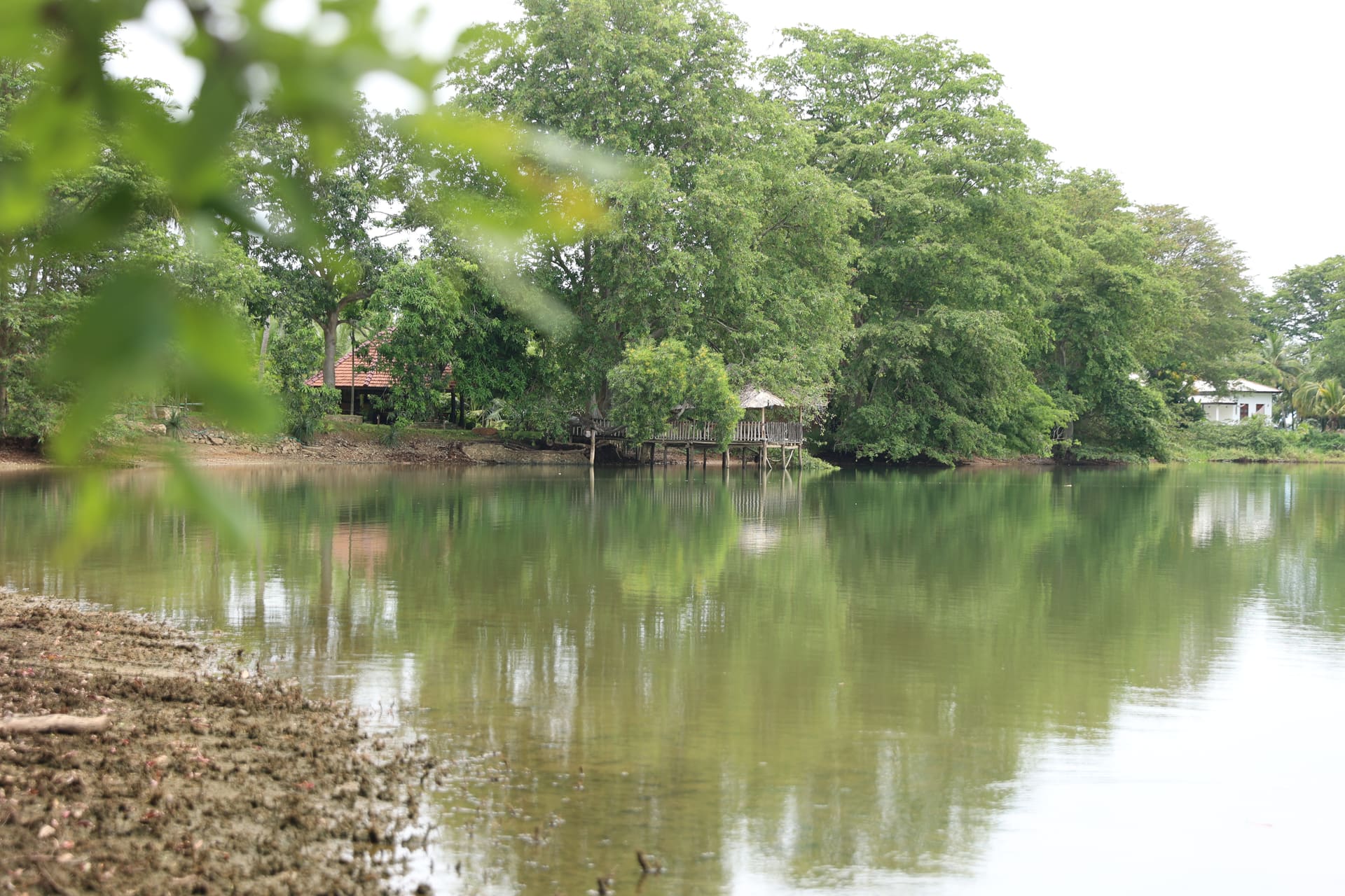 The lake reflecting the gazebo across the water — leaves framing the view